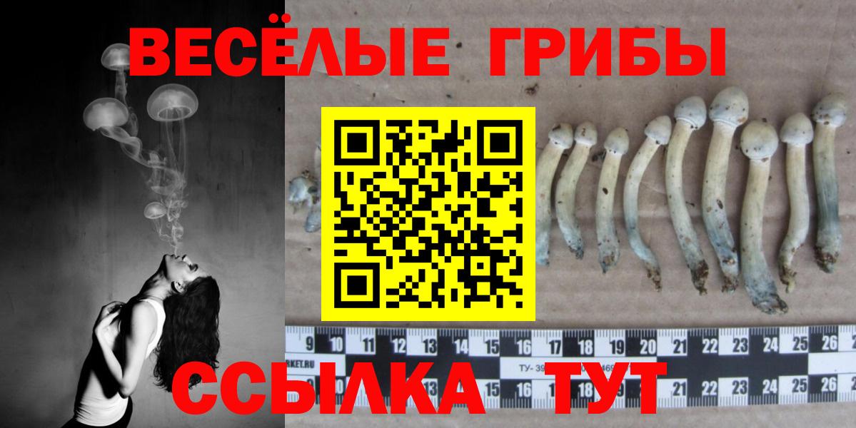 Коммунар  Псилоцибиновые грибы Cubensis  Галлюциногенные грибы мицелий  Вход с VPN 